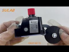 CR137-BZ-T2 Концевой выключатель для тяжелых условий эксплуатации, класс защиты IP67, 2 контакта мгновенного действия SPDT и стальной ролик L